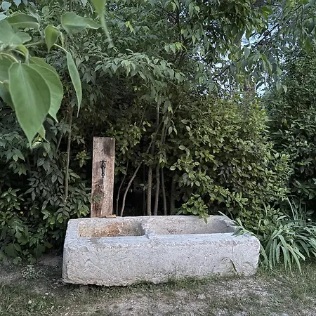 Sous Les Pins Campsite *