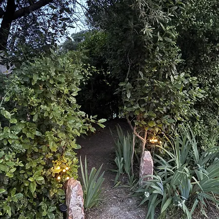Sous Les Pins Campsite