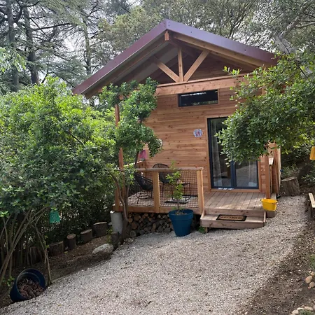 キャンプ場 Sous Les Pins