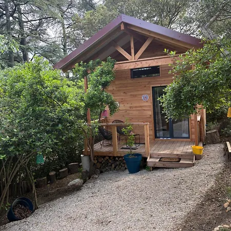 Campsite Sous Les Pins Pont-Saint-Esprit