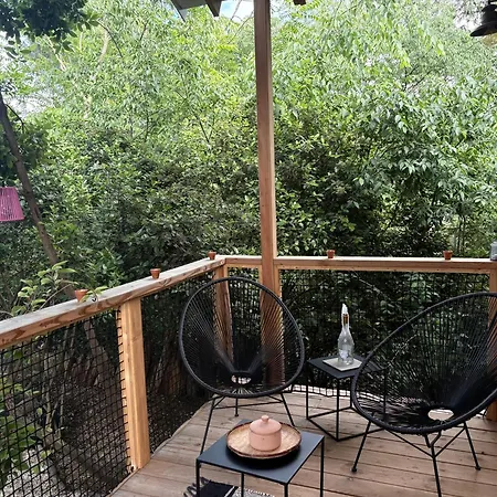 Sous Les Pins キャンプ場 ポン・サン・テスプリ